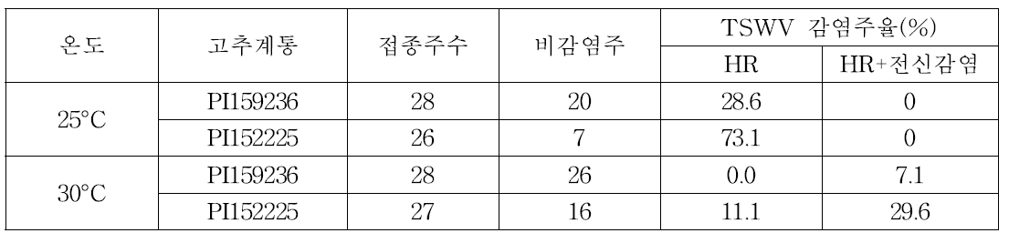 고추 Capsicum chinense 저항성 계통에 TSWV-Pap 접종 10일 후 25℃와 30℃에서의 바이러스병 전신감염주율