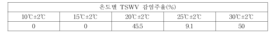 고추 품종 ‘역강수문장’에 TSWV 인공접종 후 유지하는 온도별 바이러스 감염주율