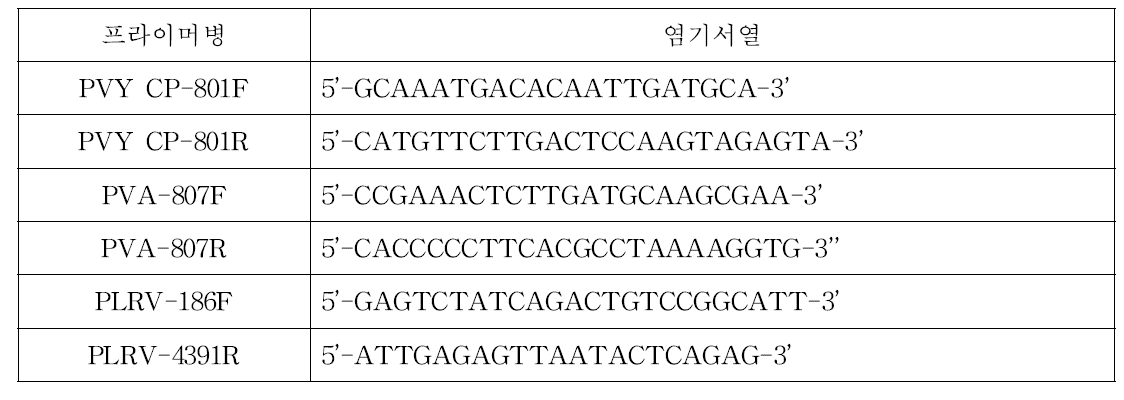 감자 바이러스 진단에 이용한 프라이머 리스트