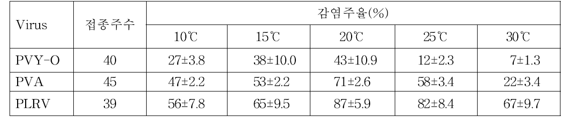 진딧물이 전염원으로부터 PVY-O, PVA 또는 PLRV를 취득하는 동안의 온도가 담배 (Nicotiana benthamiana) 와 땅꽈리(Physalis floridiana)의 바이러스 감염에 미치는 영향