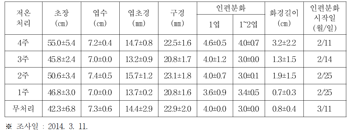 인편분화 조기 유도 위한 저온처리 효과구명(온실)