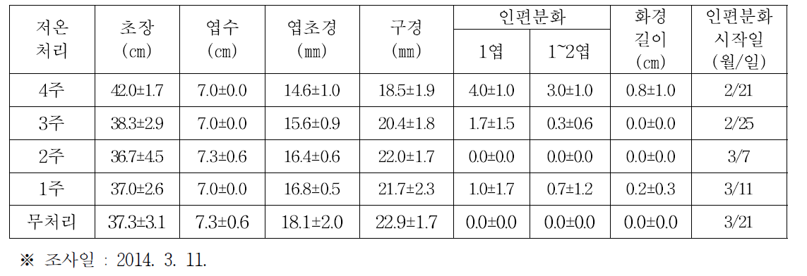 인편분화 조기 유도 위한 저온처리 효과구명(노지)