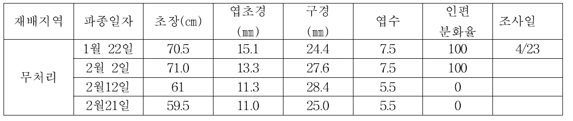 인편분화 시기 연장을 위한 봄 파종 효과구명