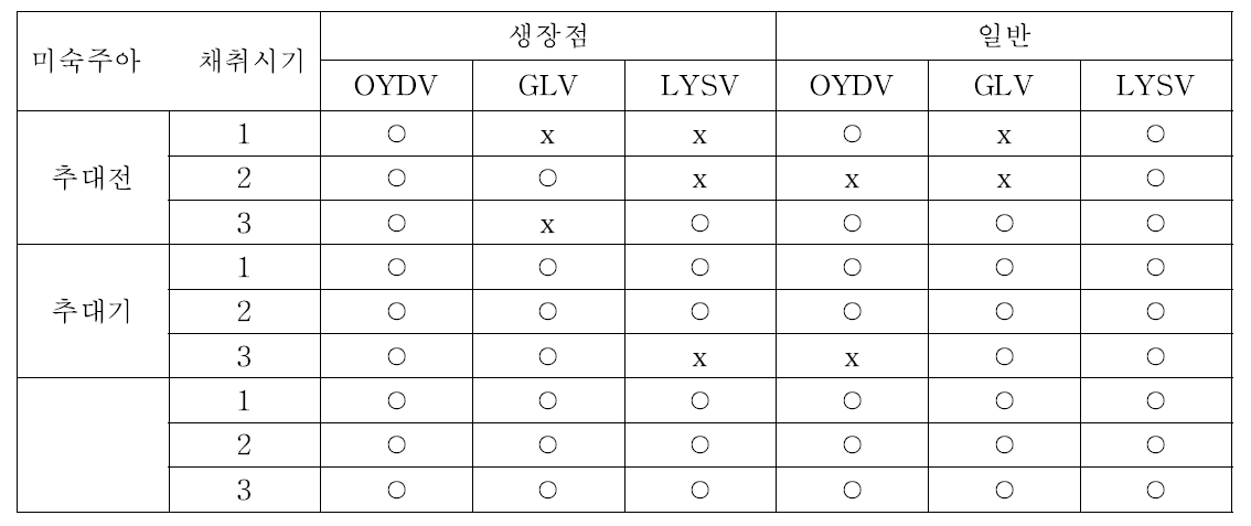 미숙주아 채취시기에 따른 바이러스 감염 정도