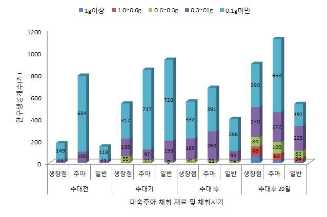 미숙주아 채취시기 및 재료별 단구 생성수