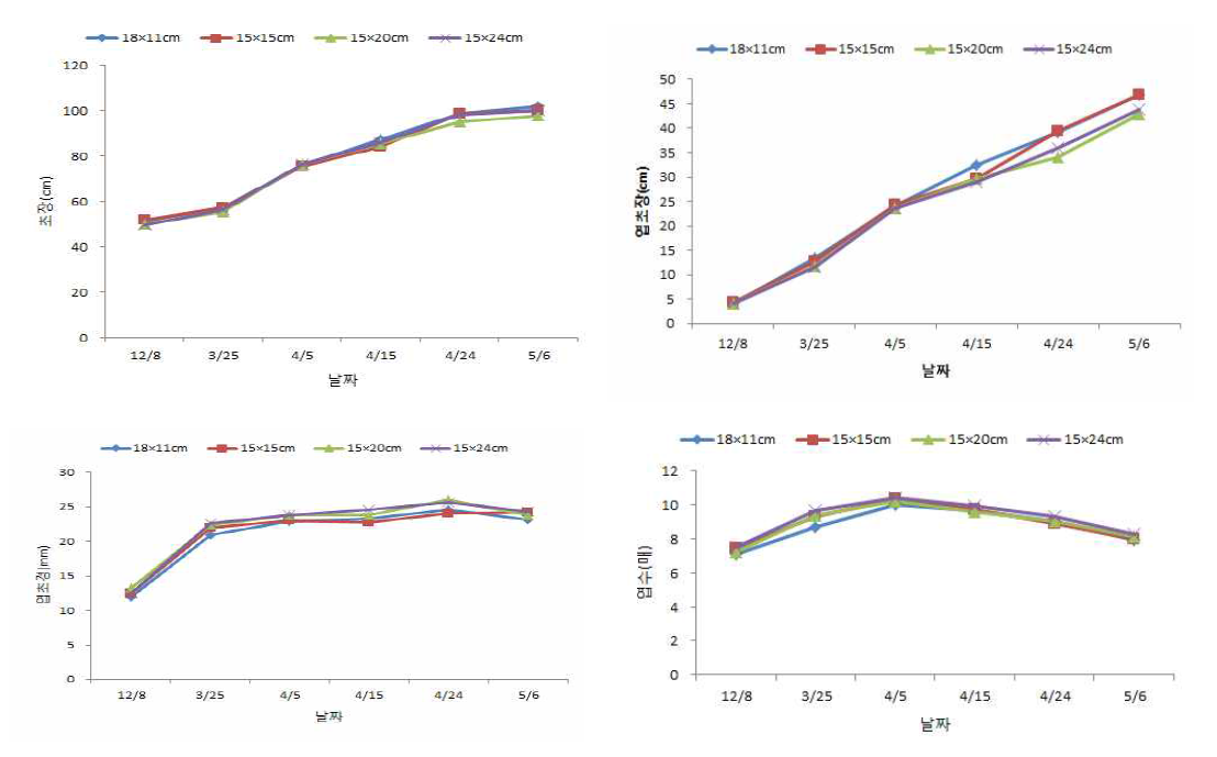 마늘 생장점 종구 재식밀도에 따른 생육특성