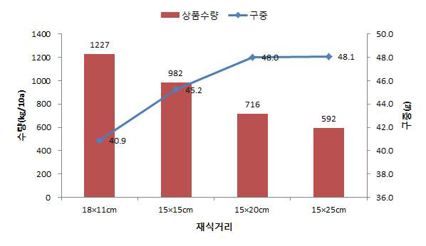 마늘 생장점 종구 재식밀도별 상품수량 및 대구율