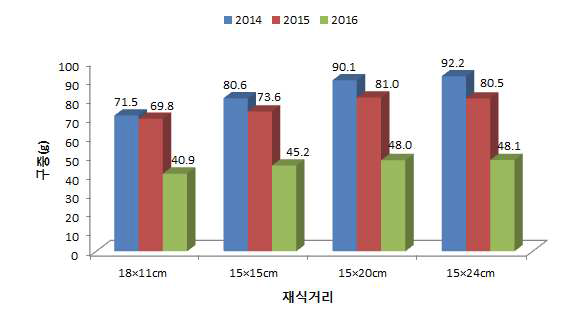 마늘 생장점 종구 재식밀도별 수량