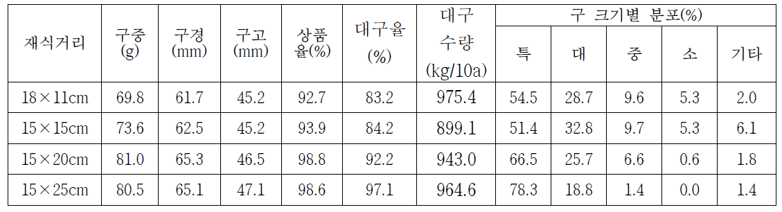 재식밀도별 구 및 수량 특성