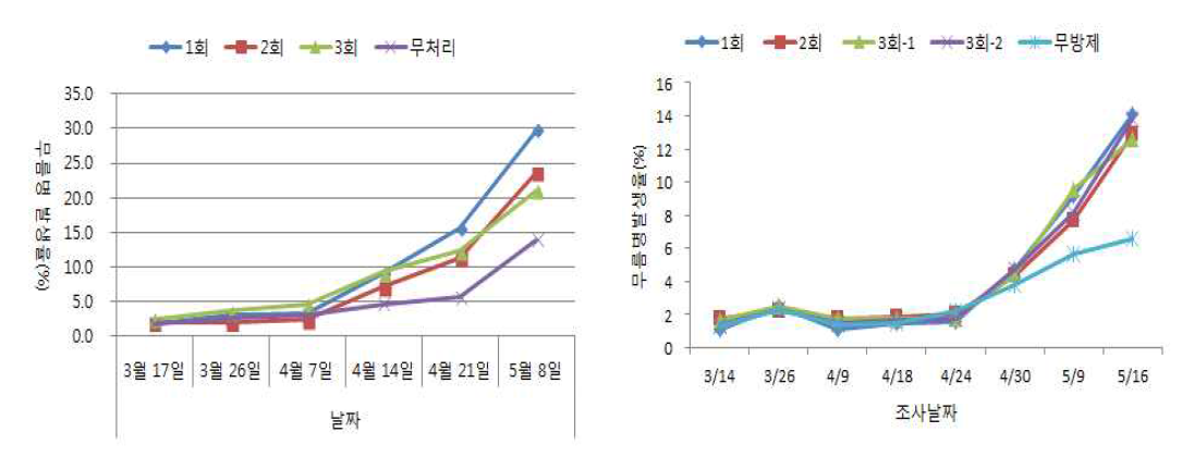 방제횟수별 무름병 발생율