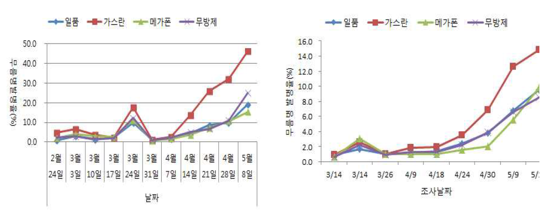 약제 종류별 무름병 발생율