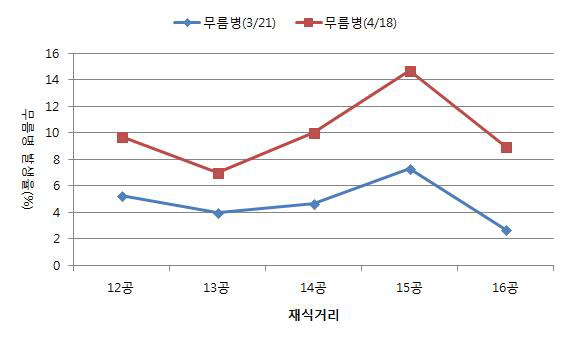 재식거리별 무름병 발생정도