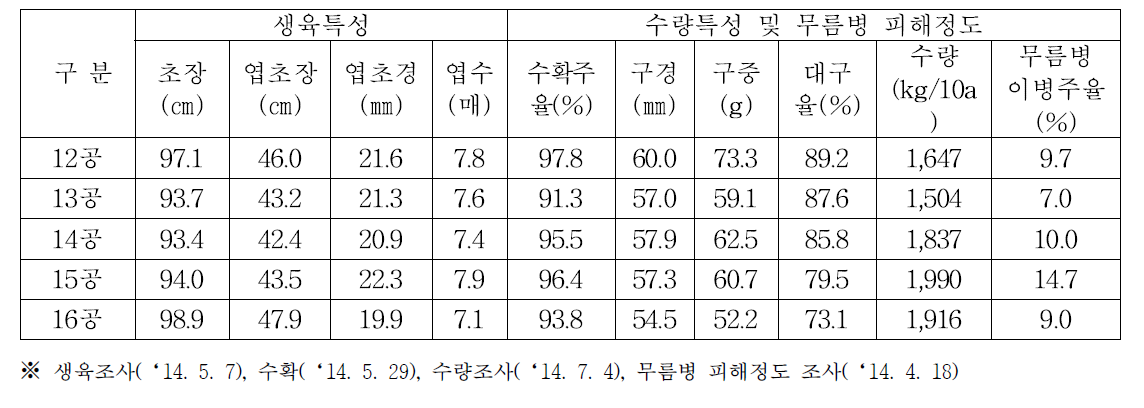 생장점 종구 재식거리별 생육특성 및 무름병 피해정도