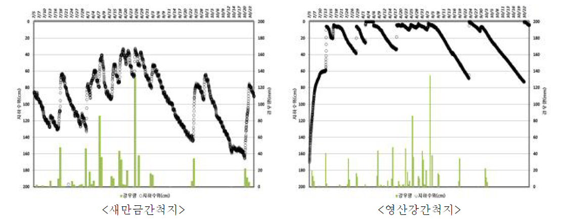 시험포장의 강우량 및 지하수위 변동(기간 : 7.5~10.24)
