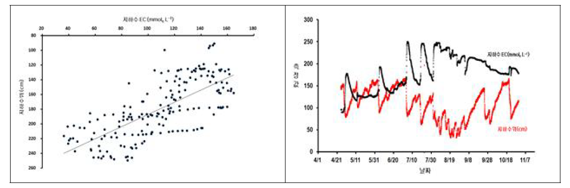 새만금간척지의 지하수위와 지하수 염농도의 상관관계
