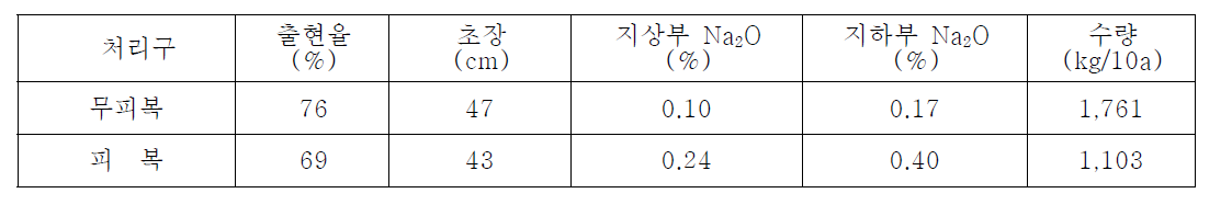 감자 재배 시 수확기 지상부 및 지하부 양이온 및 수량성 비교