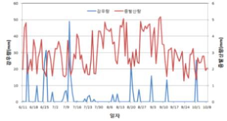 콩 재배기간 중 강우량 및 증발산량