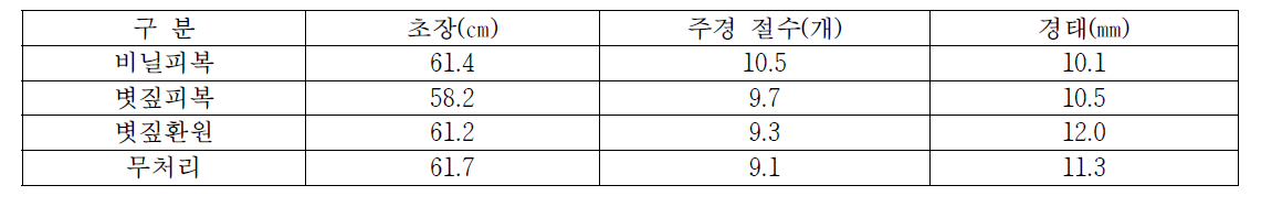 콩 생육 상황(8.23)