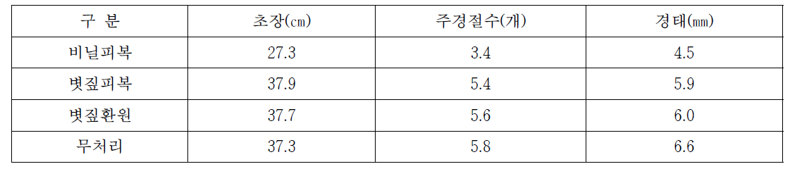 콩 생육상황 (8.17.)