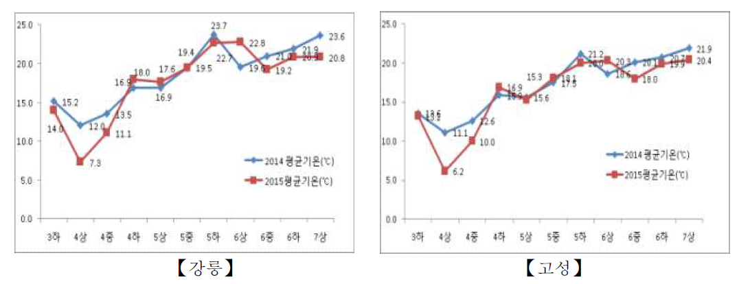 시험기간 중 강릉 및 고성 기온 변화