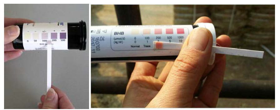 Test kit for mesurement of milk -hydroxylbutyrate.