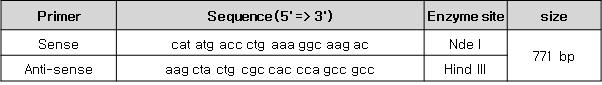재조합 단백질 제작용 Primer 염기서열.