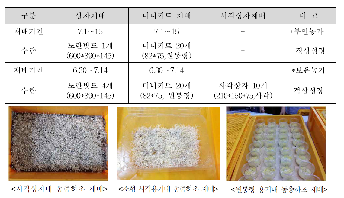 재배용기별 동충하초 적정재배 기준