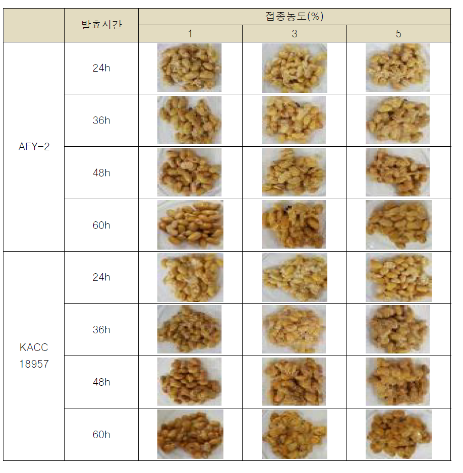 균 접종농도와 발효시간에 따른 청국