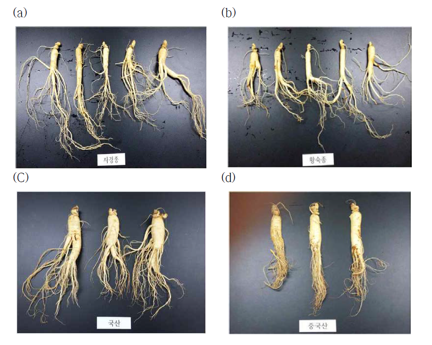 Domestic raw ginseng(a,b,c) and Chinese raw ginseng(d).