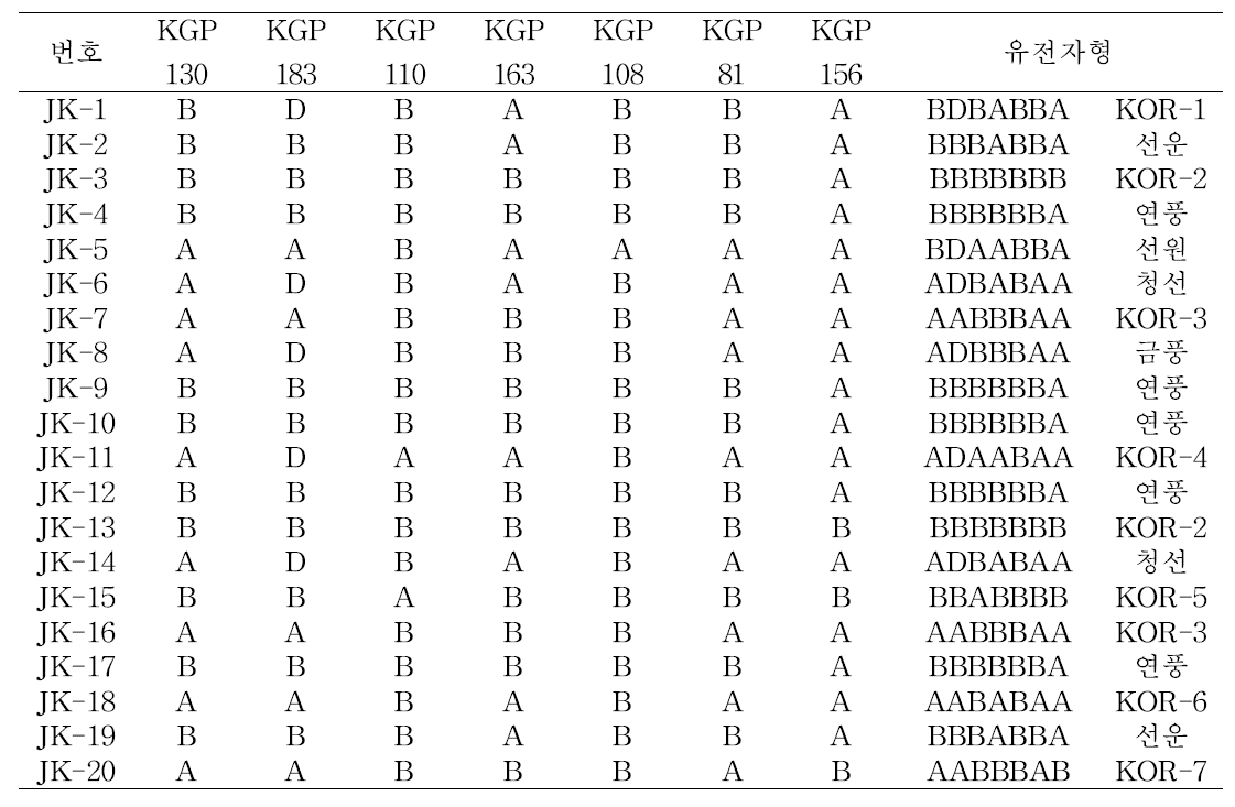 국내(인삼과 포장)에서 재배중인 자경종 유전양상