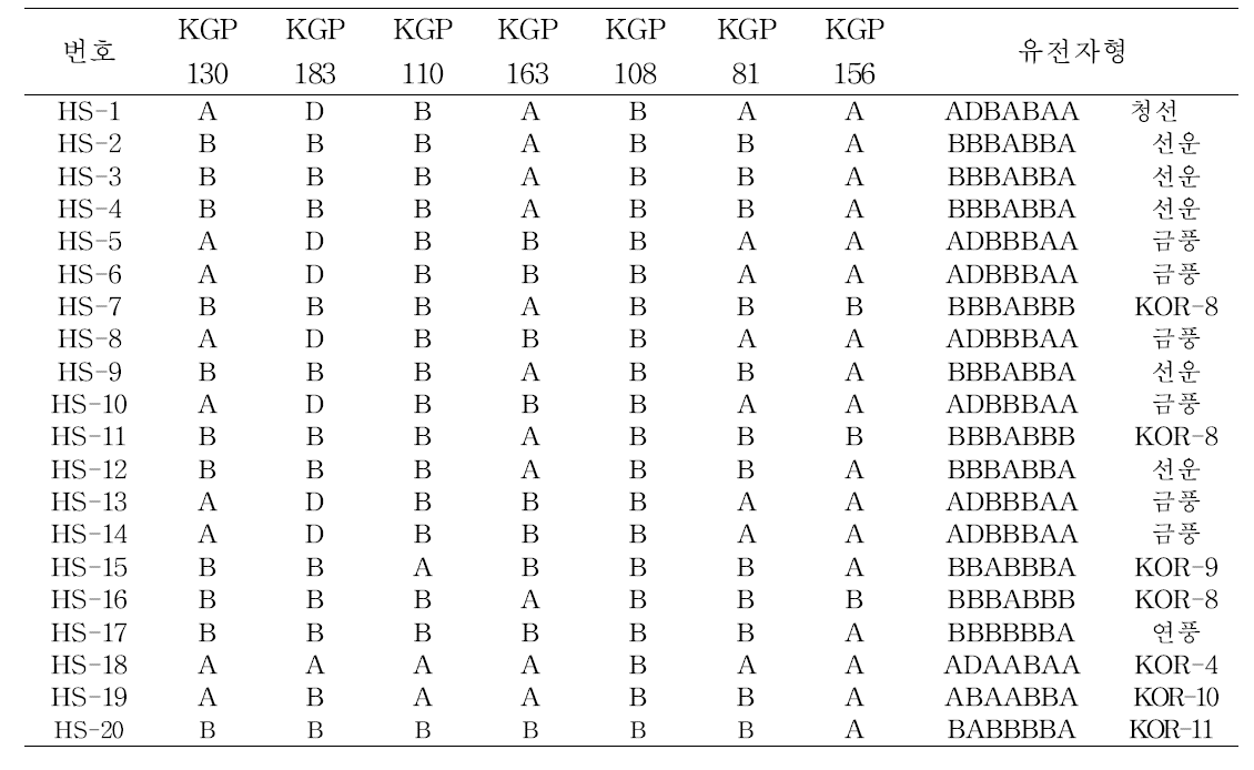 국내(인삼과 포장)에서 재배중인 황숙종 유전양상