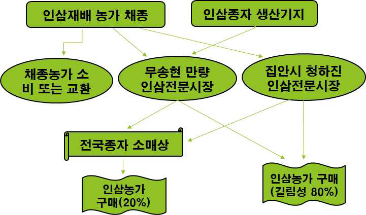 인삼종자의 채종과 유통과정