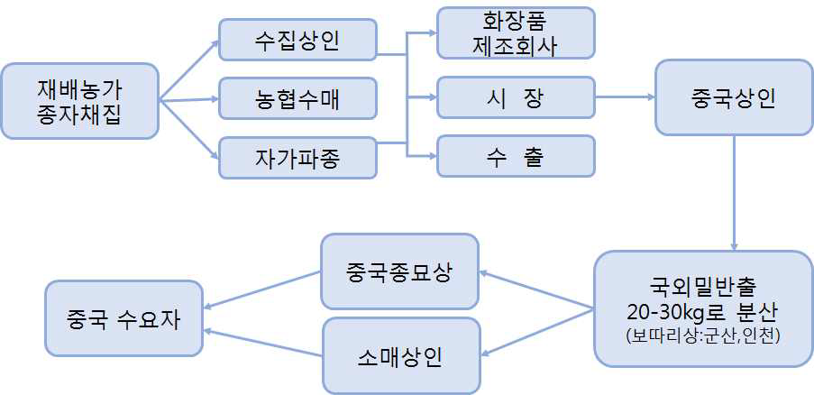 한국인삼 종자의 중국유출 경로