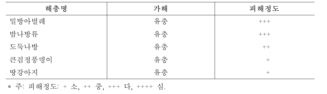 인삼의 주요 해충 종류와 피해정도