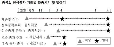 중국의 인삼 종자 처리별 파종시기 및 발아기