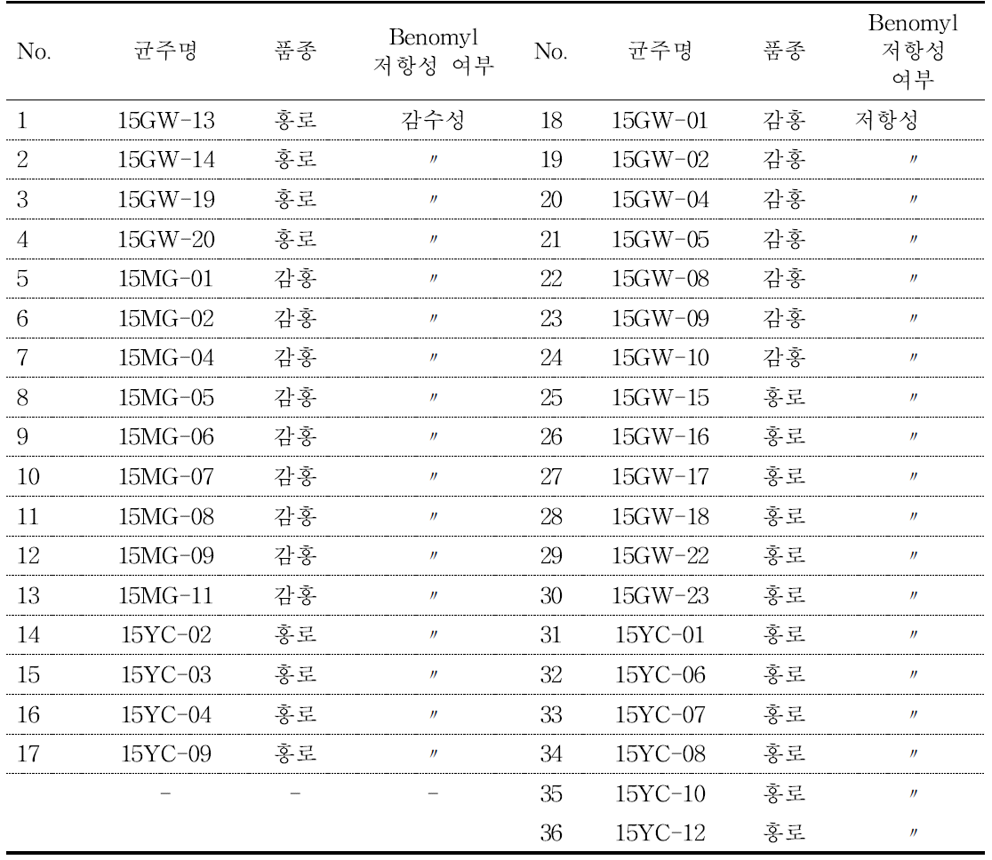 Benomyl 저항성 및 감수성으로 분류된 15년 ‘감홍’ 및 ‘홍로’ 분리 탄저병 균주
