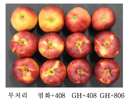 ‘홍로’에서 개발칼슘제(GH-Ca)와 계면활성제 혼용처리에 따른 적숙기 수확 시 과실 착색 정도