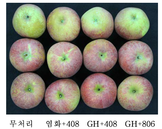 감홍 품종에서 GH-Ca와 계면활성제 혼용 수관살포에 의한 수확 시 과실 착색 정도