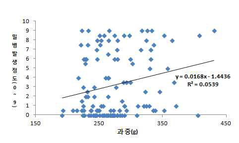 홍로 품종에서 과중별 밀병 발생정도와의 상관관계