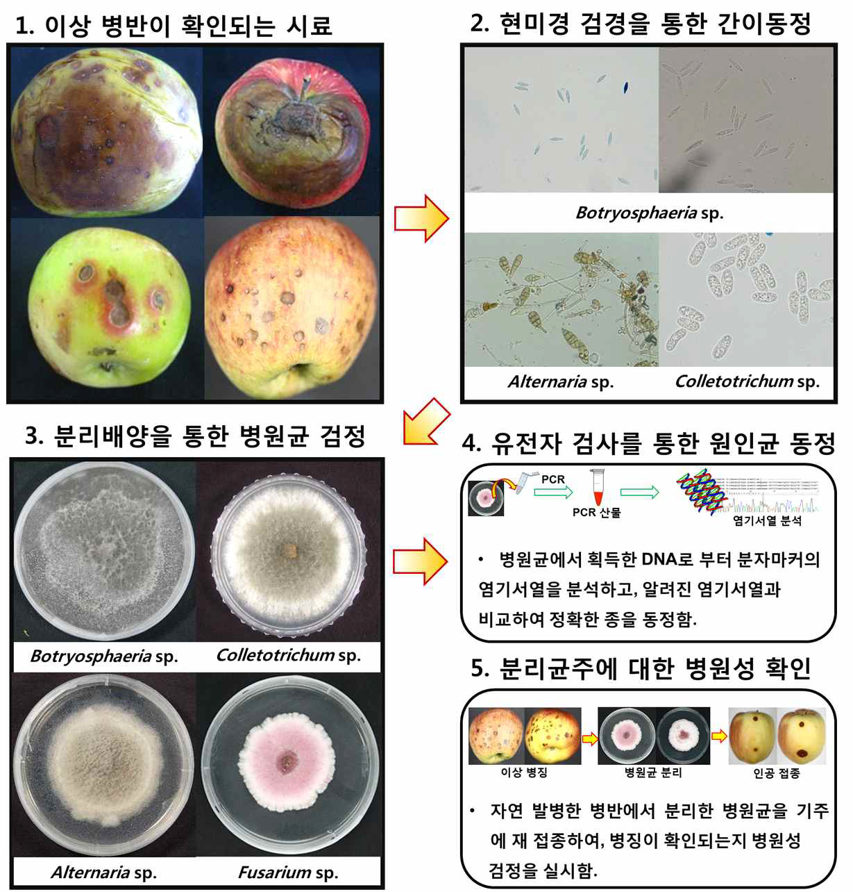 과실에서 확인되는 이상 증상의 진단 메뉴얼.