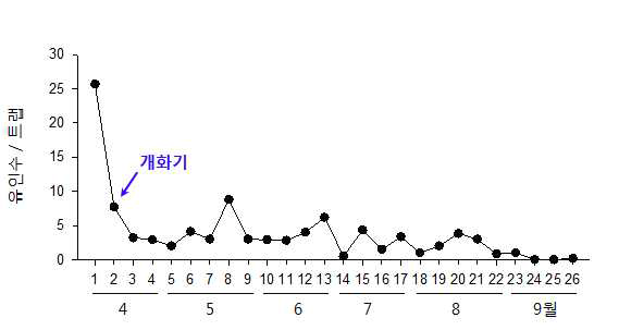 복숭아원에서 암브로시아나무좀 성충의 연중 발생소장