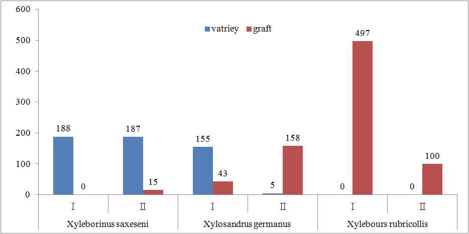 Incidence comparison on 3 kinds ambrosia beetles on peach tree variety and graft