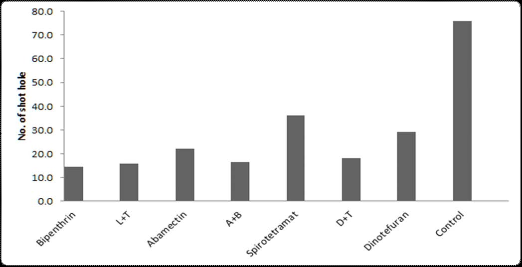 Comparison of shot hole number by insecticides.