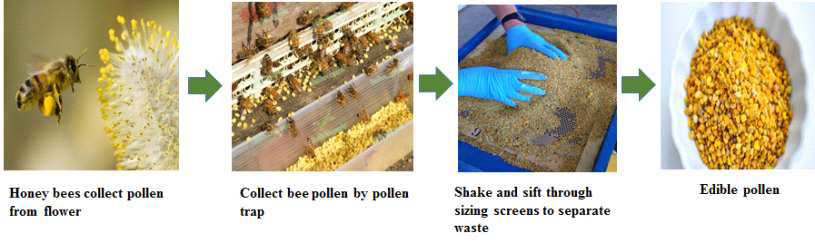 Honey bee pollen 70% ethanol extraction procedure.