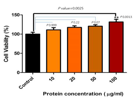 Concentration-dependent effect of 57-kDa protein on Saos-2 cell viability.