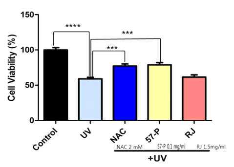 Cell viability of Saos-2 cells following UVB irradiation either with or without the test materials