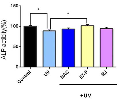 Alkaline phosphatase (ALP) activity of Saos-2 cells following UVB irradiation either with or without the test materials.