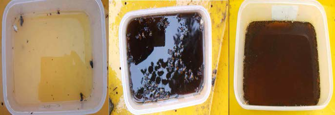 트랩에 사용된 유인액인 오렌지주스+막걸리((1:1 v/v, 왼쪽), 다목생태 기술의 장수말벌유인액(중간), 참나무 발효액(오른쪽).
