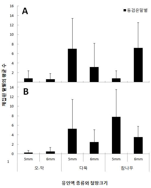경주(A)와 영덕(B) 두 지역에서 5일간 채집된 등검은말벌의 평균 수.