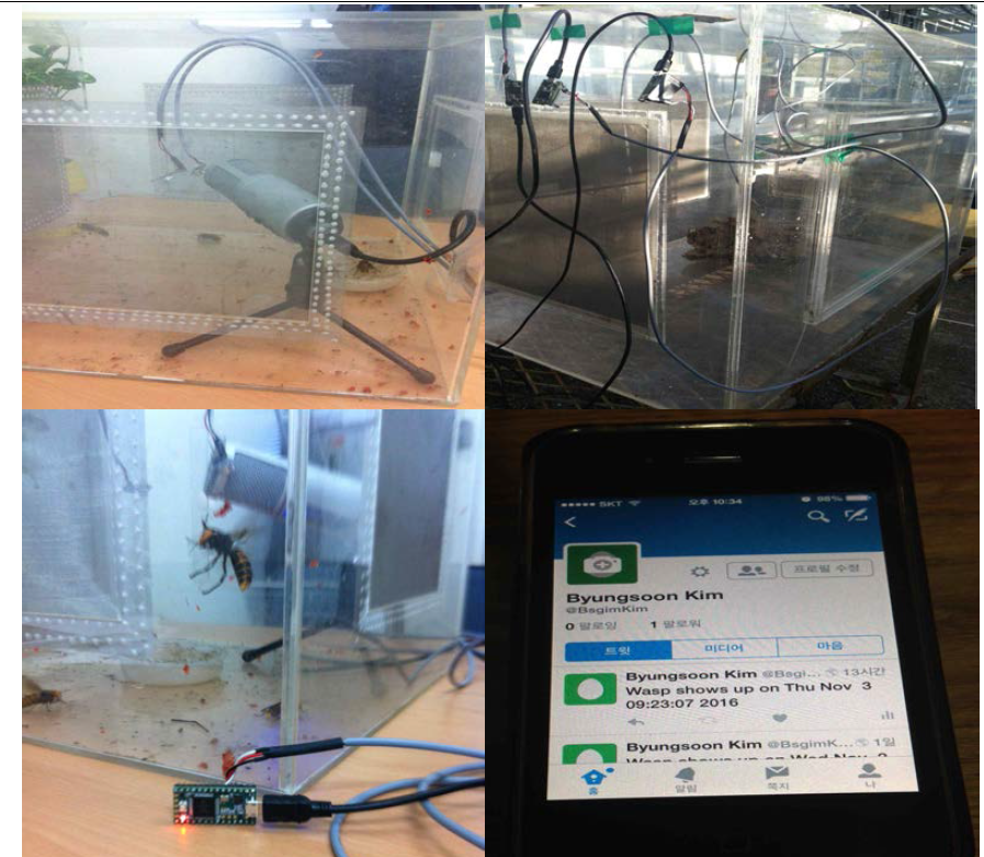 실험실 내의 테스트 장면(윗 그림)과 탐지시 LED 작동(아랫 그림, 좌) 트위터를 통해 전송된 탐지 메시지(아랫 그림, 우).